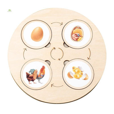 Ensemble de 10 puzzles en bois sur les cycles de vie – Activité scientifique Montessori pour enfants