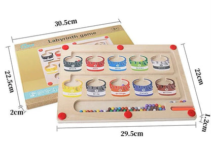 Magnetic Color Classification Board – Sensory Learning Toy for Hand-Eye Coordination and Pre-Writing Skills