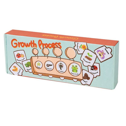 Wooden Growth Process Learning Puzzle Set