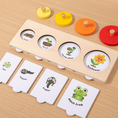 Wooden Growth Process Learning Puzzle Set