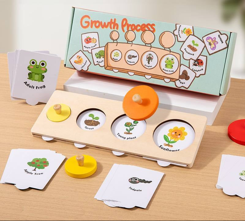 Wooden Growth Process Learning Puzzle Set
