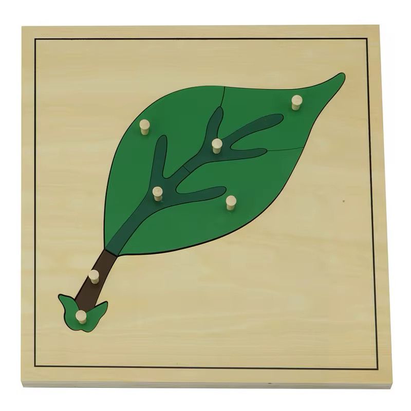 Montessori Botany - Leaf Puzzle with Wooden Knobs