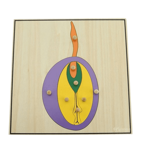 Montessori Botany - Seed Puzzle with Wooden Knobs