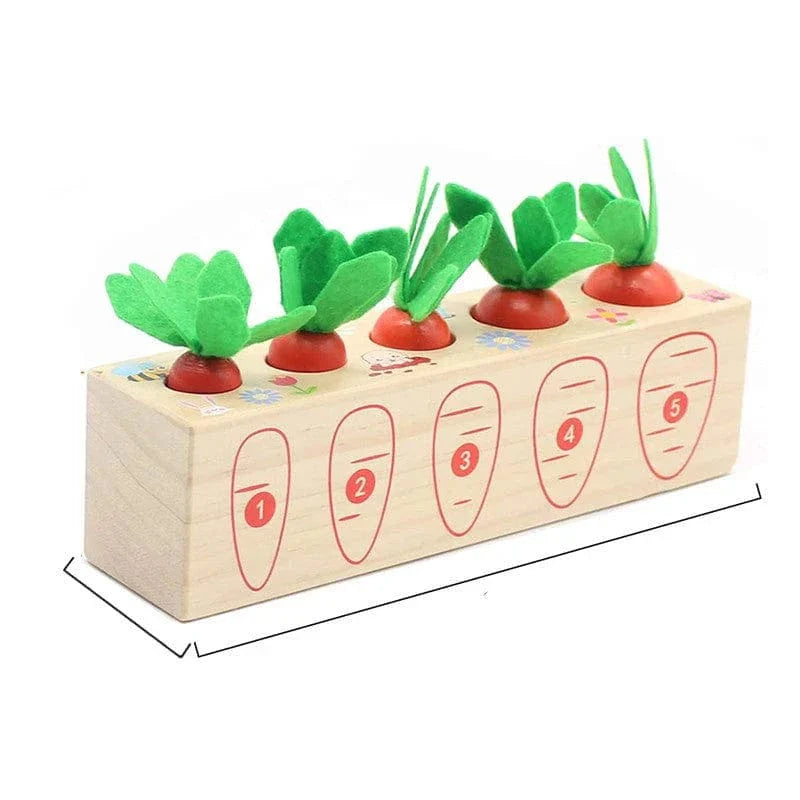 Juguete Montessori Zanahoria