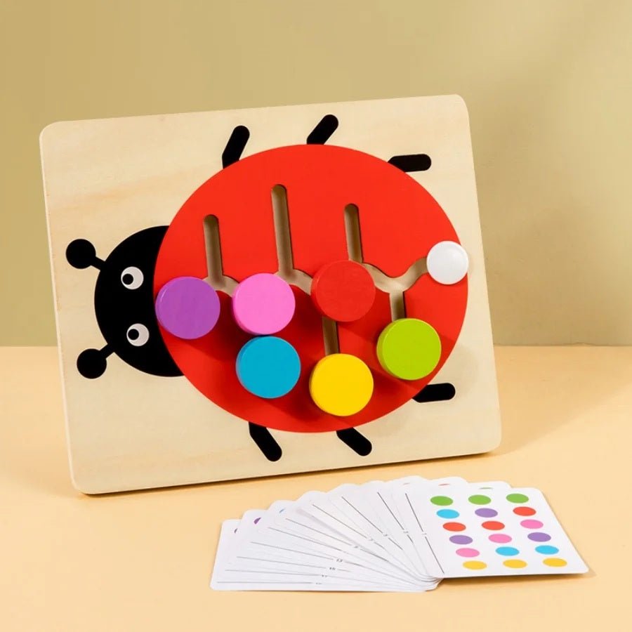 Montessori Color Matching Slide Puzzle – Educational Logic Board Game for Toddlers