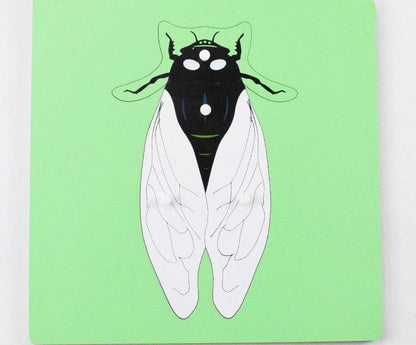 Montessori Science Puzzle Set - Zoology and Botany Knob Puzzles for Hands-On Learning