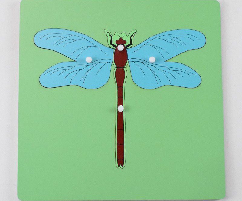 Montessori Science Puzzle Set - Zoology and Botany Knob Puzzles for Hands-On Learning