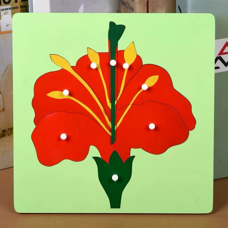 Montessori Science Puzzle Set - Zoology and Botany Knob Puzzles for Hands-On Learning