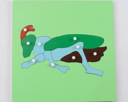 Montessori Science Puzzle Set - Zoology and Botany Knob Puzzles for Hands-On Learning