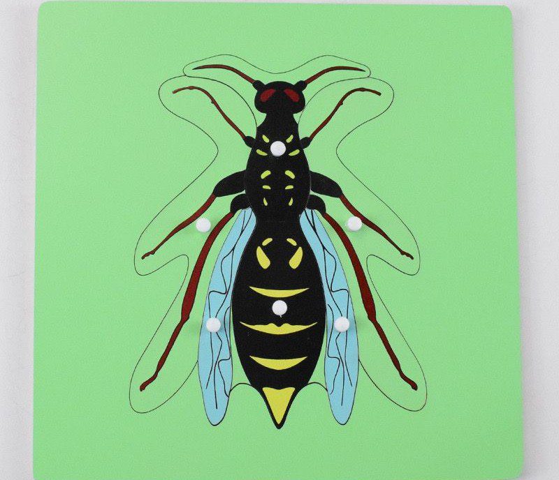 Montessori Science Puzzle Set - Zoology and Botany Knob Puzzles for Hands-On Learning