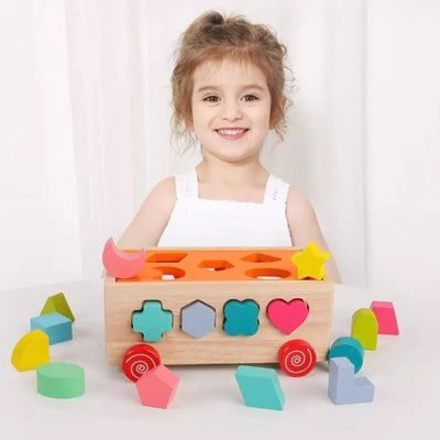 Montessori Shape Match Box