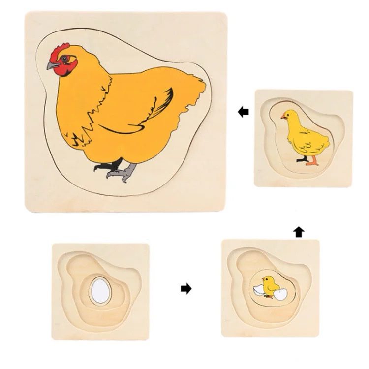 Montessori Wooden Layered Life Cycle Puzzle - Chicken