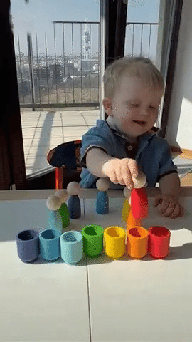 Juguete Montessori para reconocer fácilmente los colores principales