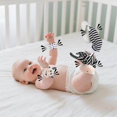 Juguetes sensoriales en blanco y negro para recién nacidos de 0 a 6 meses - Set de desarrollo temprano