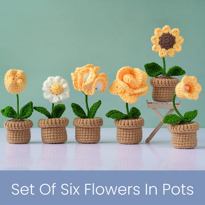 Flower Pot Set Crochet Kit