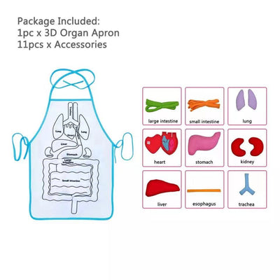 Montessori Human Body Organ Anatomy Apron-Best montessori toys