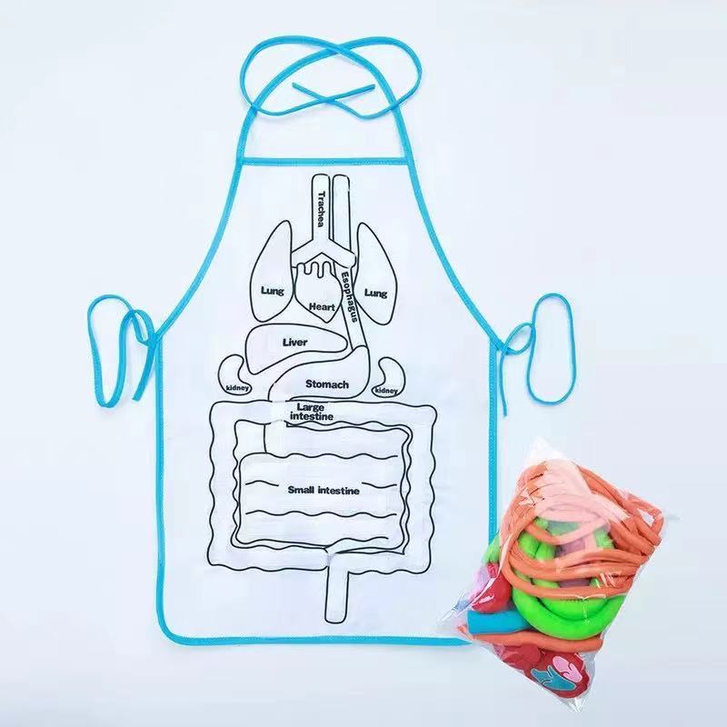 Montessori Human Body Organ Anatomy Apron-Best montessori toys