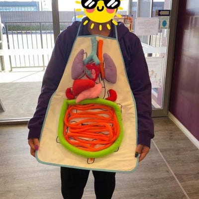 Montessori Human Body Organ Anatomy Apron-Best montessori toys