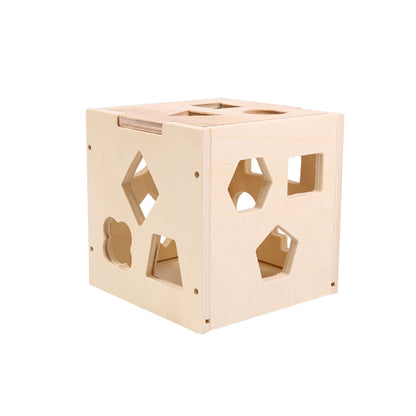 Montessori Shape Sorting Wooden Cube