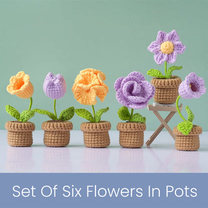 Flower Pot Set Crochet Kit