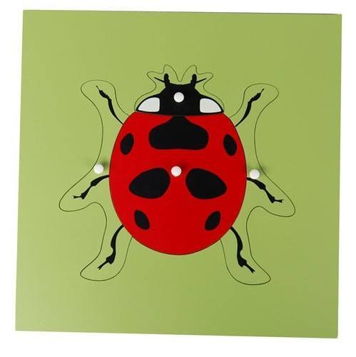 Montessori Parts of a Lady Bug Knobbed Puzzle
