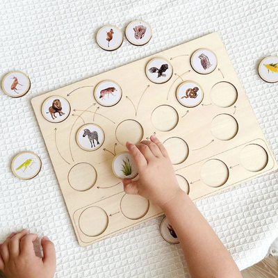 Tableau cognitif Montessori de la chaîne alimentaire écologique animale