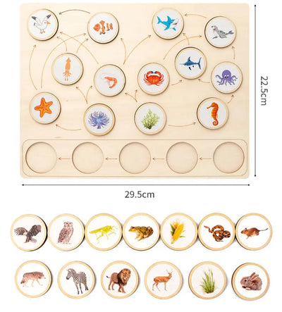 Tableau cognitif Montessori de la chaîne alimentaire écologique animale