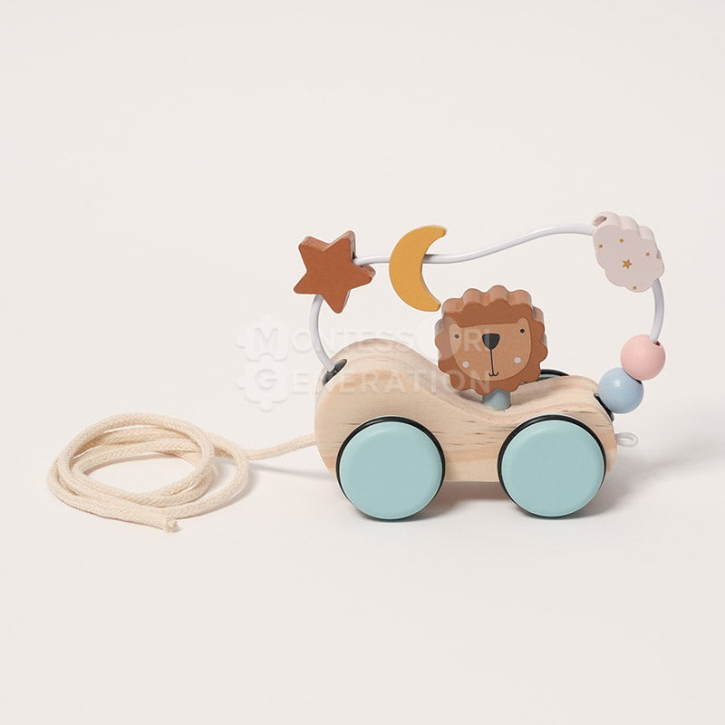 Montessori Roaring Roller