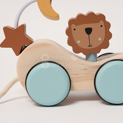 Montessori Roaring Roller