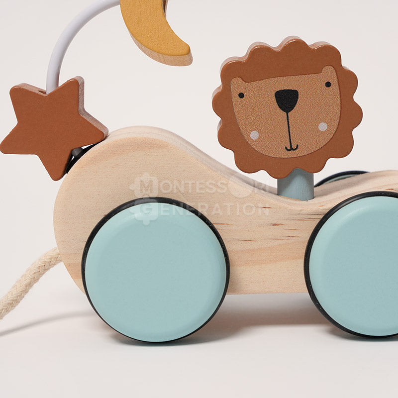 Montessori Roaring Roller
