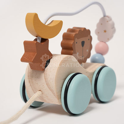 Montessori Roaring Roller