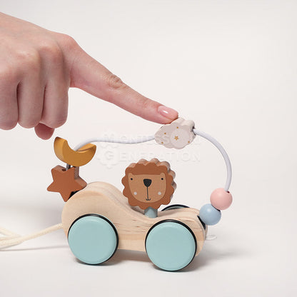 Montessori Roaring Roller