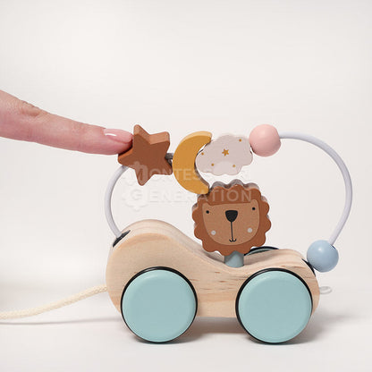 Montessori Roaring Roller