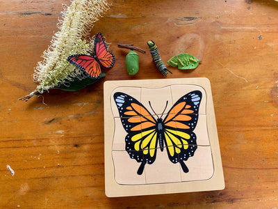 Puzzle Montessori papillon cycle de vie multicouche