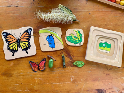 Puzzle Montessori papillon cycle de vie multicouche