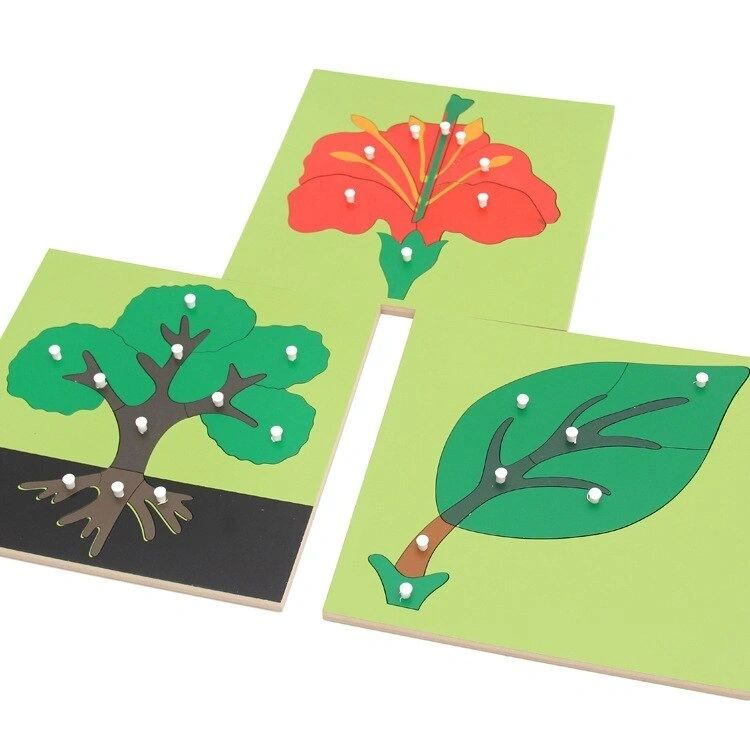 Montessori Animal or Plant Puzzles with Inset Tray Cabinet