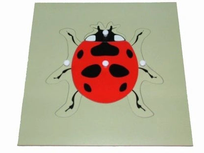 Montessori  Animal Puzzles Turtle Bird Frog Horse Fish Rooster Ladybug Butterfly Wooden Educational Preschool Kindergarten Toy