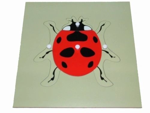 Montessori  Animal Puzzles Turtle Bird Frog Horse Fish Rooster Ladybug Butterfly Wooden Educational Preschool Kindergarten Toy