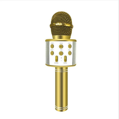 Fidtoy Wireless Bluetooth Karaoke Microphone for Kids & Adults