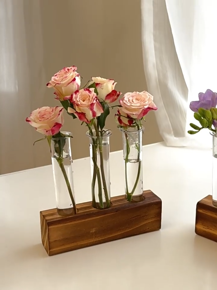 Test Tube hydroponics Science Learning Apparatus / Decor