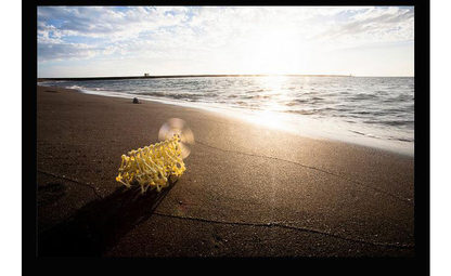 Theo Jansen Wind Power Moving Wind Walking Machine Crawler DIY