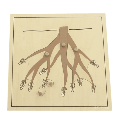 Montessori Botany - Root Puzzle with Wooden Knobs