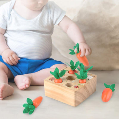 Wooden Carrot Game