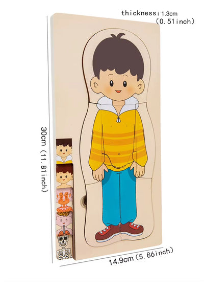 Puzzle en bois multicouche sur l'anatomie humaine - Jouet éducatif de séquençage à 5 couches