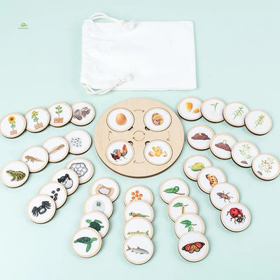 Ensemble de 10 puzzles en bois sur les cycles de vie – Activité scientifique Montessori pour enfants